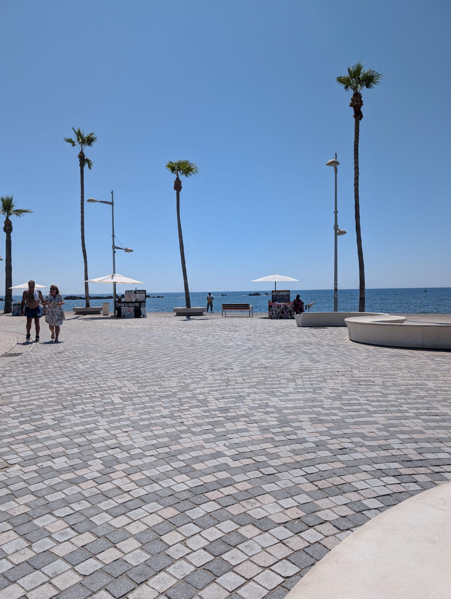 Sunlit seafront promenade with palm trees looking out to sea