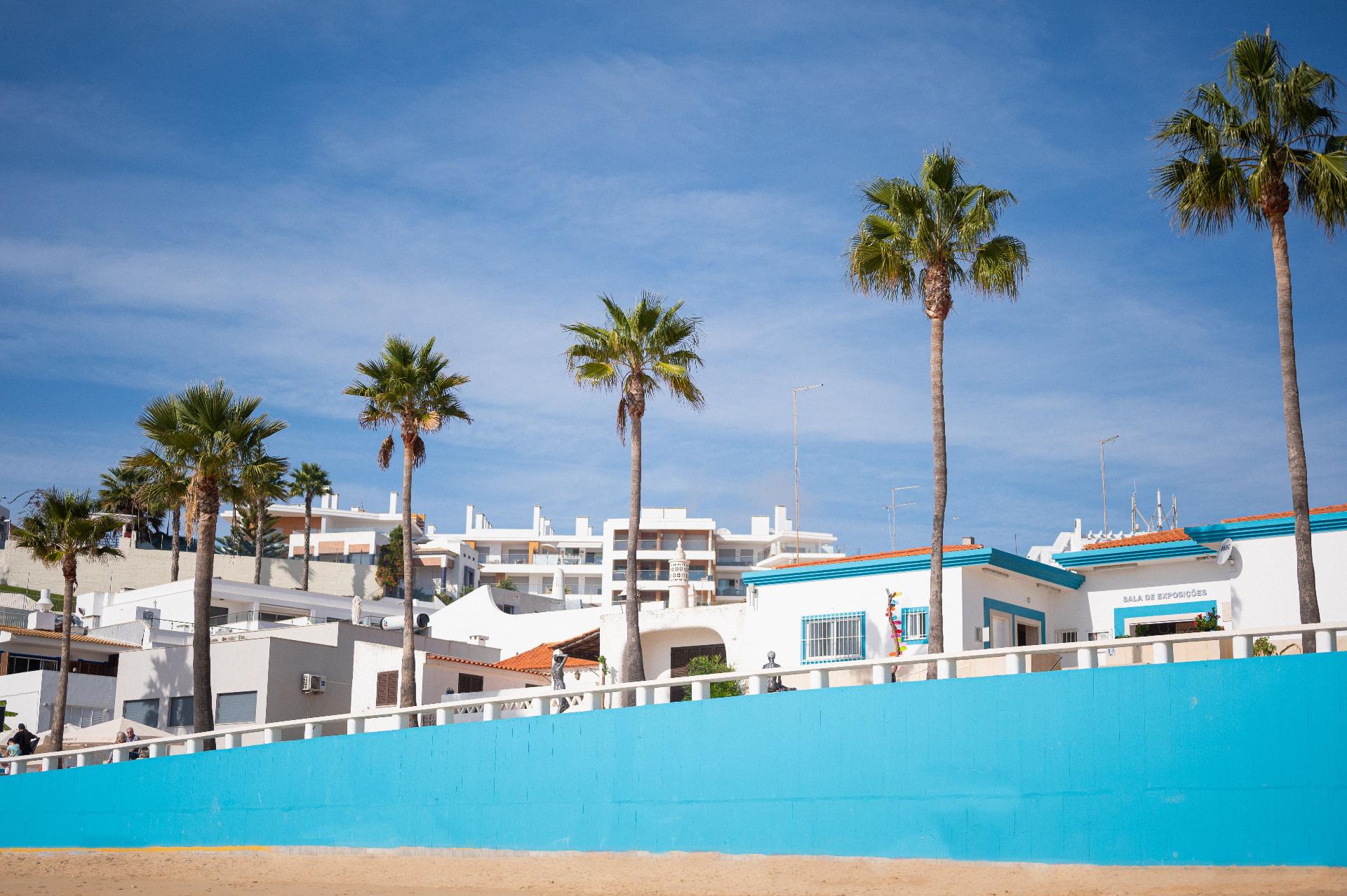 Sunny coastal town with palm trees beside a turquoise sea